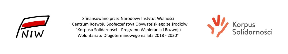 Wolontariat popandemiczny - spotkania w Toruniu i we Włocławku